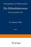 Die Rübenblattwanze