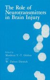 The Role of Neurotransmitters in Brain Injury