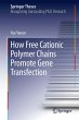How Free Cationic Polymer Chains... - Bild 1