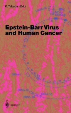 Epstein-Barr Virus and Human Cancer