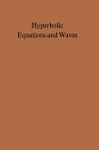 Hyperbolic Equations and Waves Hyperbolic Equations and Waves