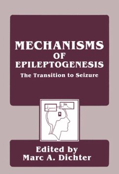 Mechanisms of Epileptogenesis