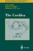 The Cochlea