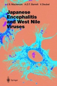Japanese Encephalitis and West Nile Viruses