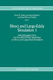 Direct and Large-Eddy Simulation I