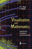 Visualization and Mathematics
