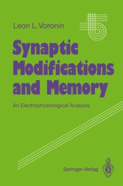 Synaptic Modifications and Memory - Voronin, Leon L.