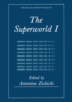 The Superworld I