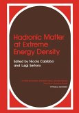 Hadronic Matter at Extreme Energy Density