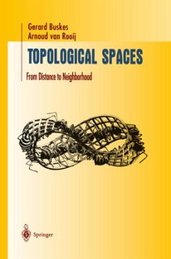 Topological Spaces - Buskes, Gerard;Rooij, Arnoud van