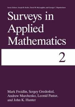 Surveys in Applied Mathematics - Gredeskul, Sergey;Hunter, John K.;Freidlin, Mark I.