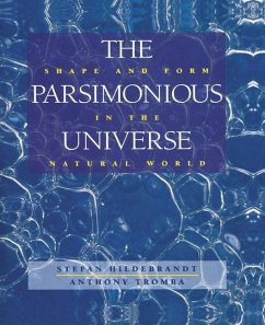 The Parsimonious Universe - Hildebrandt, Stefan; Tromba, Anthony