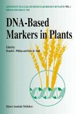 DNA-based markers in plants