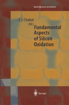 Fundamental Aspects of Silicon Oxidation