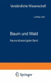 Baum und Wald