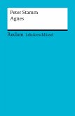 Lektüreschlüssel. Peter Stamm: Agnes (eBook, PDF)