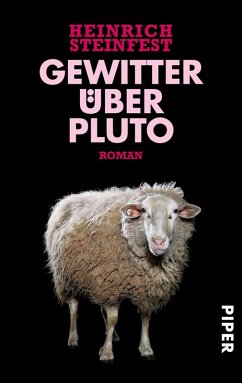 Gewitter über Pluto (eBook, ePUB) - Steinfest, Heinrich