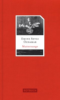 Mutterzunge (eBook, ePUB) - Özdamar, Emine Sevgi