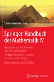 Springer-Handbuch der Mathematik IV (eBook, PDF)