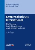 Konzernabschluss International (eBook, PDF)