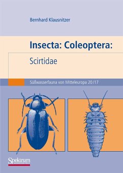 Insecta: Coleoptera: Scirtidae (eBook, PDF) - Klausnitzer, Bernhard