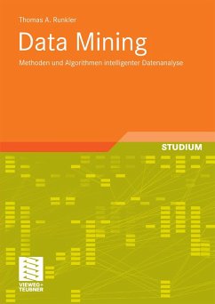 Data Mining (eBook, PDF) - Runkler, Thomas A.