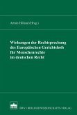Wirkungen der Rechtsprechung des Europäischen Gerichtshofs für Menschenrecht im deutschen Recht (eBook, PDF)