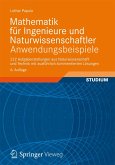 Mathematik für Ingenieure und Naturwissenschaftler - Anwendungsbeispiele (eBook, PDF)