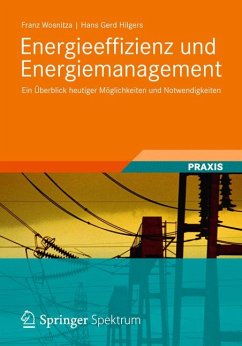 Energieeffizienz und Energiemanagement (eBook, PDF) - Wosnitza, Franz; Hilgers, Hans Gerd