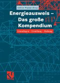 Energieausweis - Das große Kompendium (eBook, PDF)