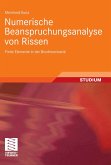 Numerische Beanspruchungsanalyse von Rissen (eBook, PDF)