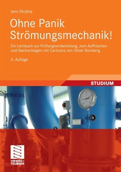 Ohne Panik Strömungsmechanik! (eBook, PDF) - Strybny, Jann