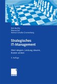 Strategisches IT-Management (eBook, PDF)