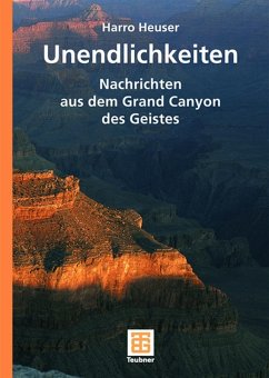 Unendlichkeiten (eBook, PDF) - Heuser, Harro