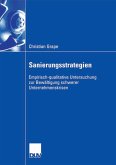 Sanierungsstrategien (eBook, PDF)