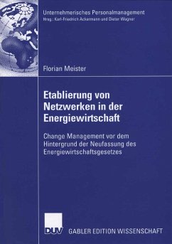 Etablierung von Netzwerken in der Energiewirtschaft (eBook, PDF) - Meister, Florian