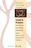 Islam in Process (eBook, PDF)