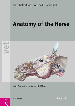 Anatomy of the Horse (eBook, PDF) - Budras, Klaus-Dieter; Sack, W. O.; Röck, Sabine