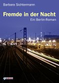 Fremde in der Nacht (eBook, ePUB)