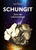Schungit - Stein der Lebensenergie (eBook, PDF)
