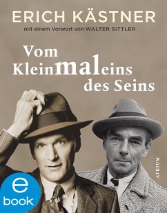 Vom Kleinmaleins des Seins (eBook, ePUB) - Kästner, Erich