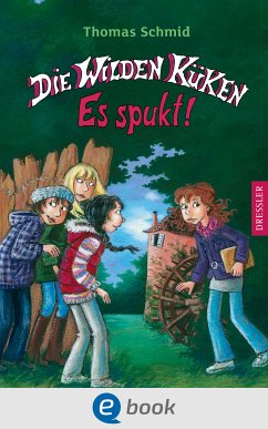 Es spukt! / Die Wilden Küken Bd.4 (eBook, ePUB) - Schmid, Thomas