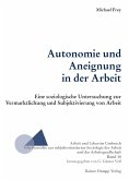 Autonomie und Aneignung in der Arbeit (eBook, PDF)