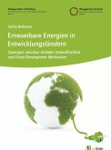 Erneuerbare Energien in Entwicklungsländern (eBook, PDF)