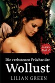 Die verbotenen Früchte der Wollust Teil 2 (eBook, ePUB)