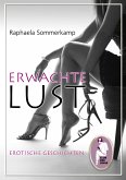 Erwachte Lust (eBook, ePUB)