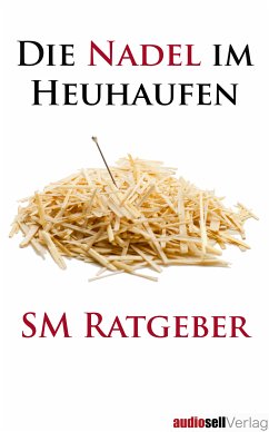 Die Nadel im Heuhaufen (eBook, ePUB) - Böttcher, Irena