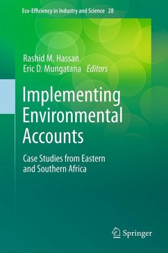 Cover Implementing Environmental Accounts (eBook, PDF)