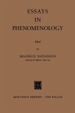 Essays in Phenomenology