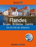 Flandes (eBook, ePUB)